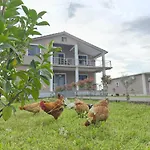Bed & Breakfast Ballkan Shkoder Grilë