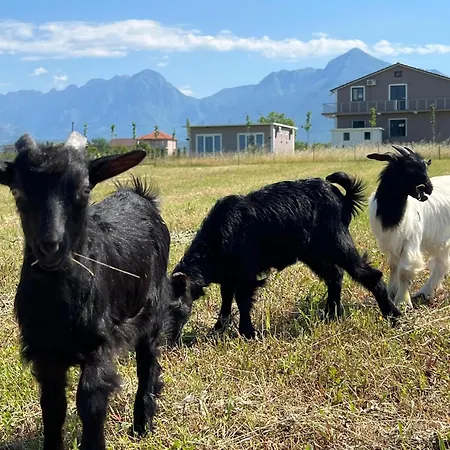 住宿加早餐酒店 Ballkan