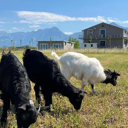 Ballkan 住宿加早餐酒店 *