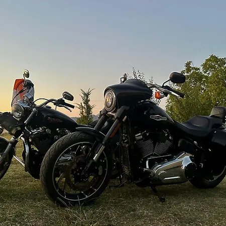 住宿加早餐酒店 Ballkan *