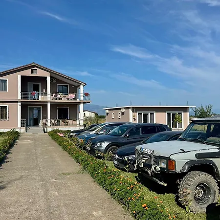 Ballkan Shkoder * Grilë