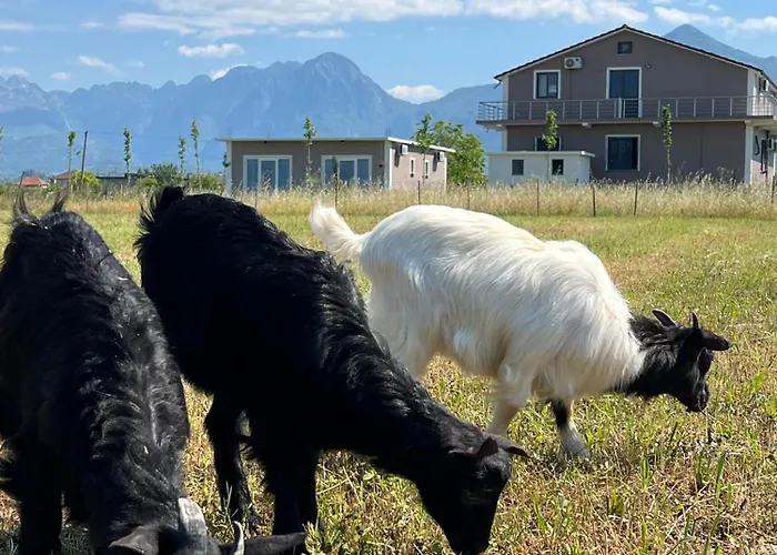 Ballkan Shkoder Bed and breakfast *