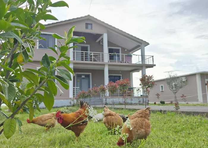 Bed and breakfast Ballkan Shkoder Grilë