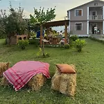 Ballkan Shkoder Grilë