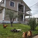 Ballkan Shkoder *