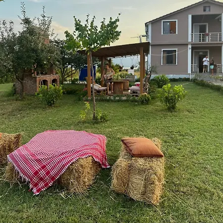 Ballkan Shkoder Grilë