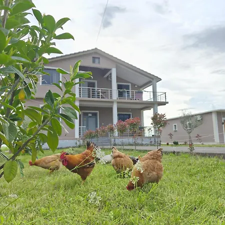 Bed & Breakfast Ballkan Grilë